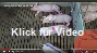 Klick fr Video